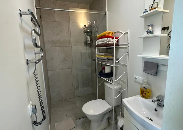 Family Vaivorykste Daire